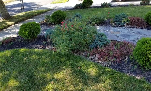 nj-flower-bed-cleanup-mulching-south-jersey